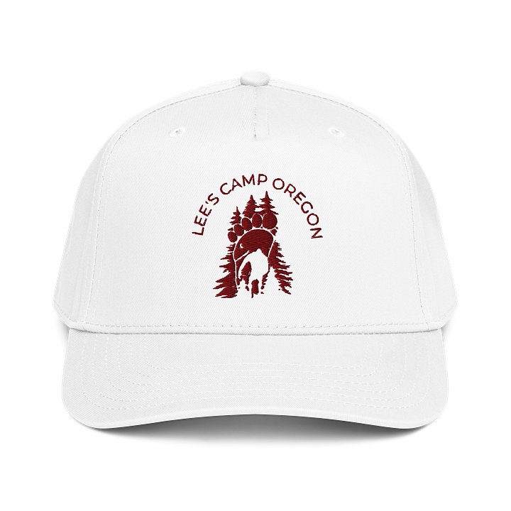 Logo Snap Back Baseball Hat product image (1)