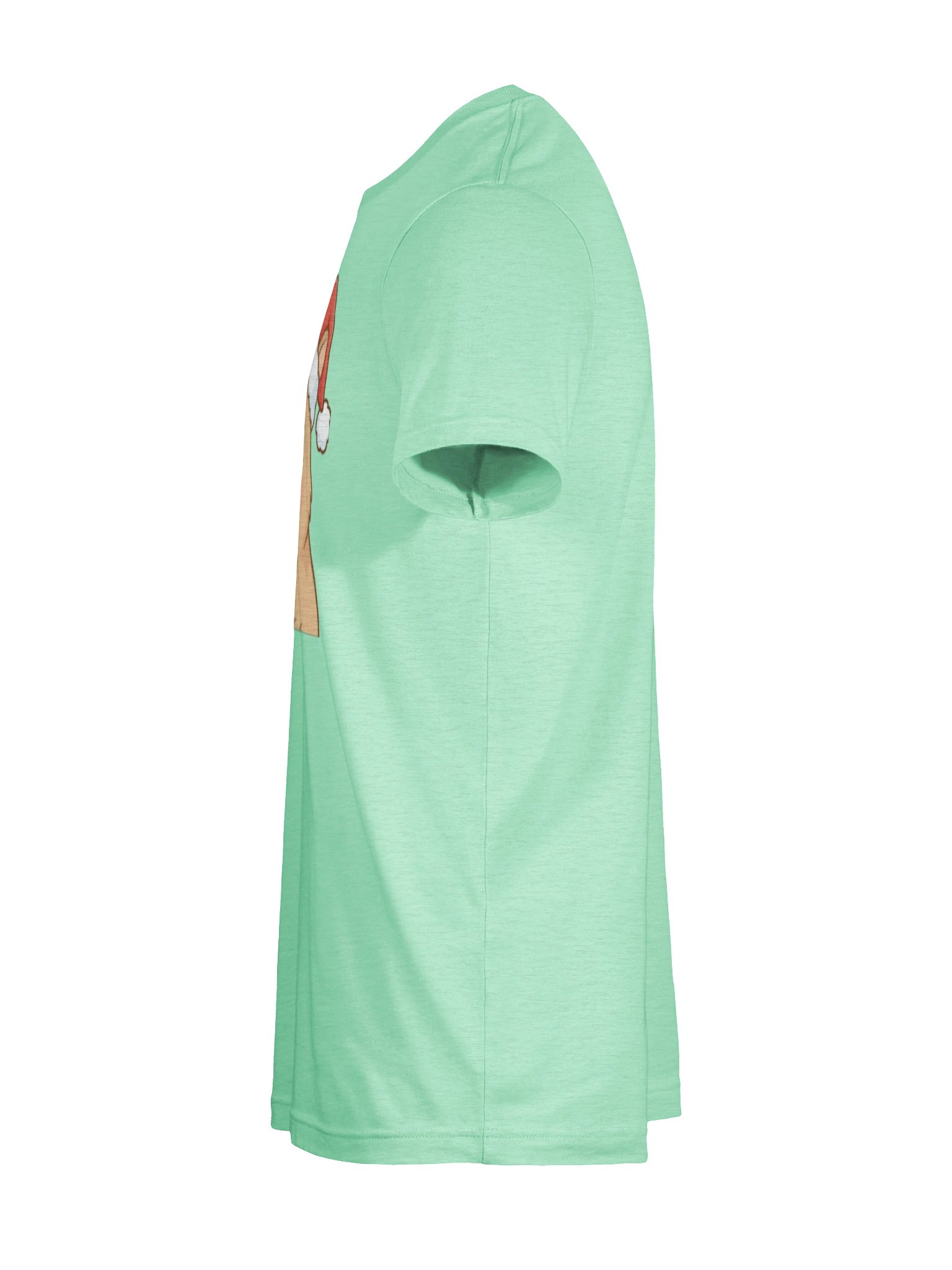 Santa Capy T-Shirt product image (9)