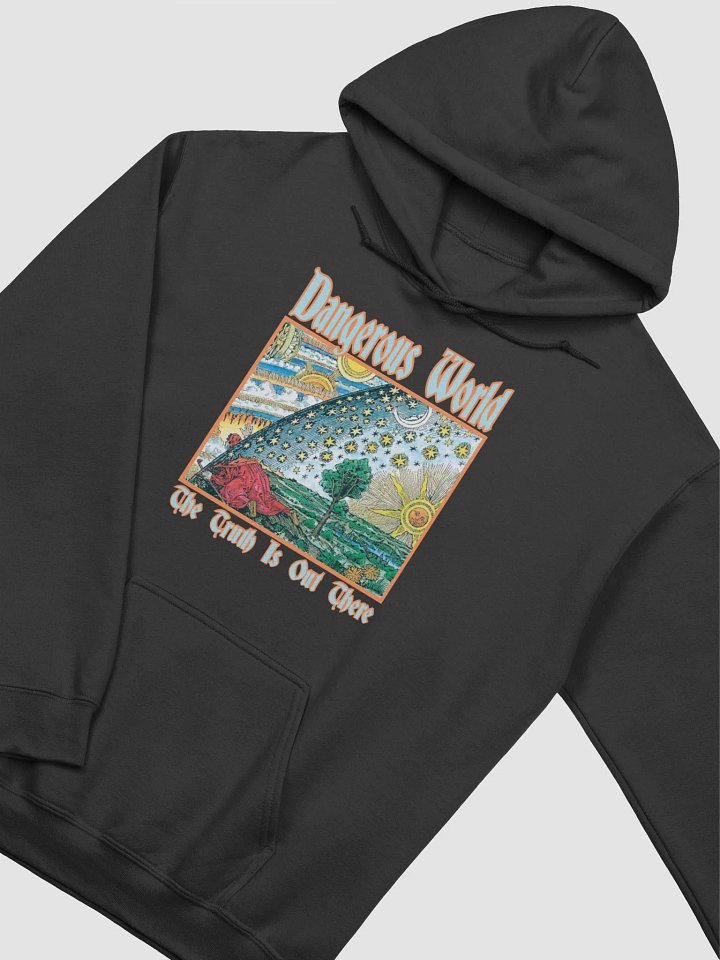 Find The Truth Hoodie product image (2)