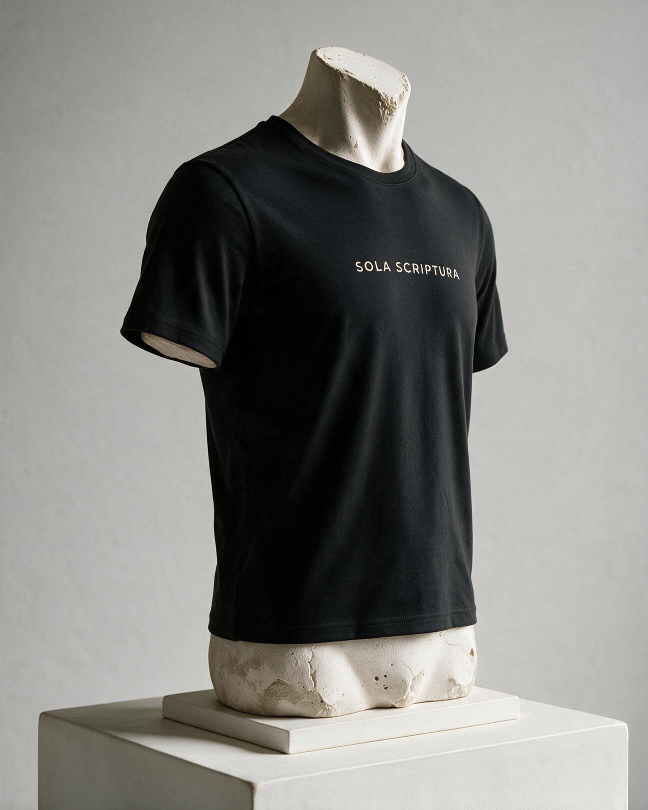 SOLA SCRIPTURA ORGANIC TEE product image (3)