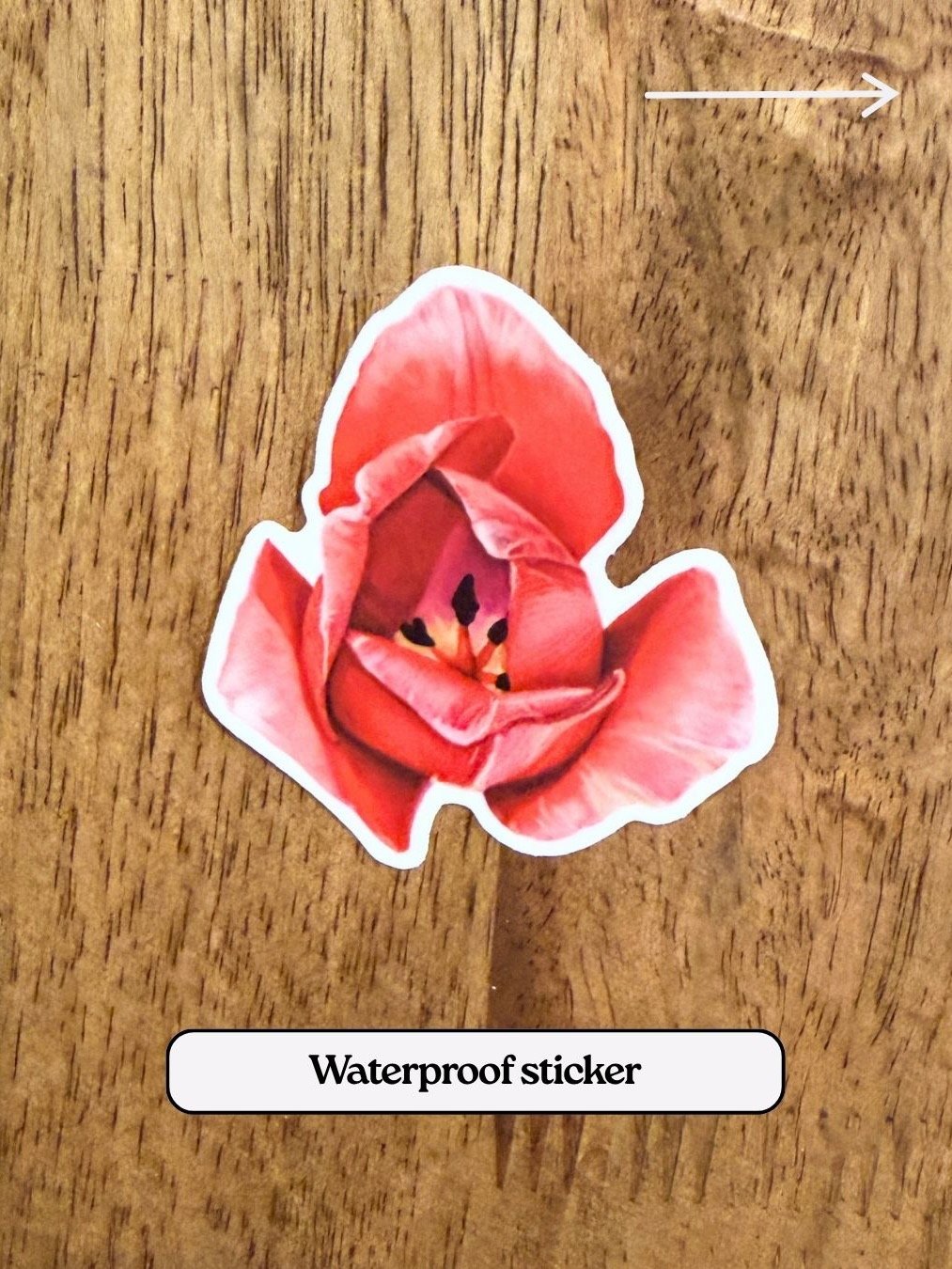 Still Waters One Time Trial Letter Bundle product image (8)