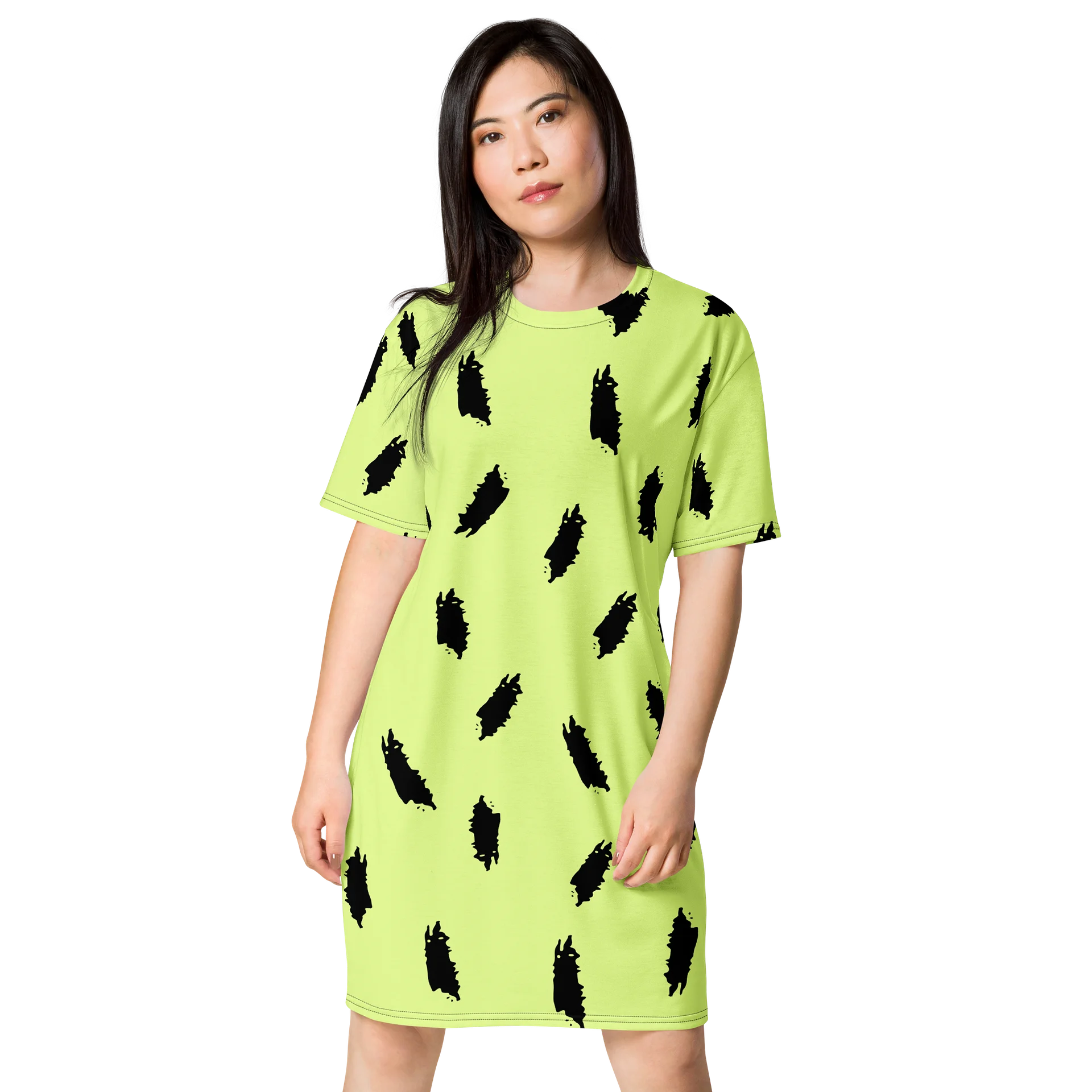 Women’s Relaxed Fit Fashion Tee Dress product image (1)