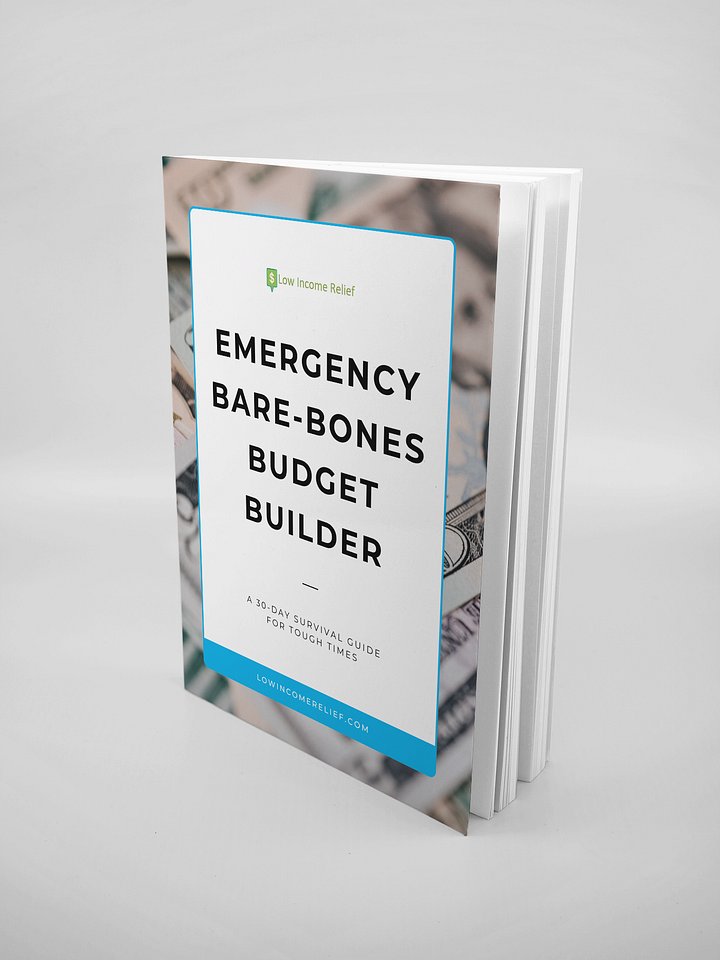 Emergency Bare-Bones Budget Builder (30-Day Survival Guide) product image (2)