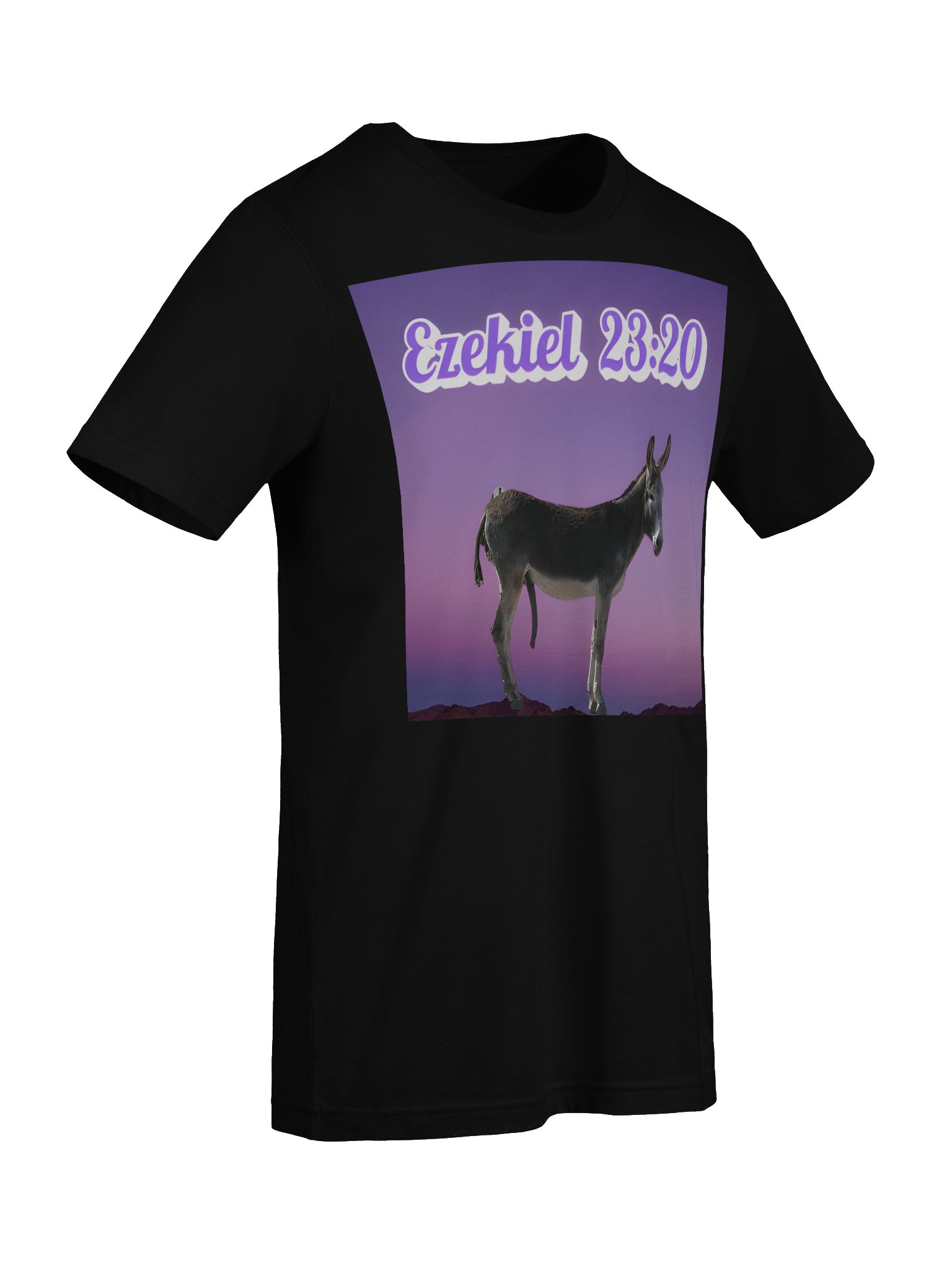 Ezekiel 23:20 Tee Shirt product image (9)
