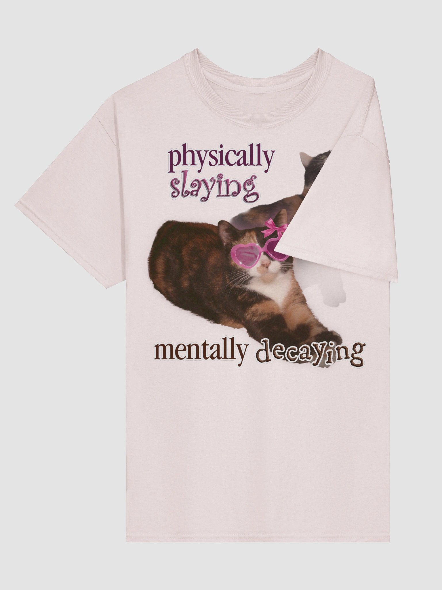 Physically Slaying Mentally Decaying - Cat T-shirt product image (4)