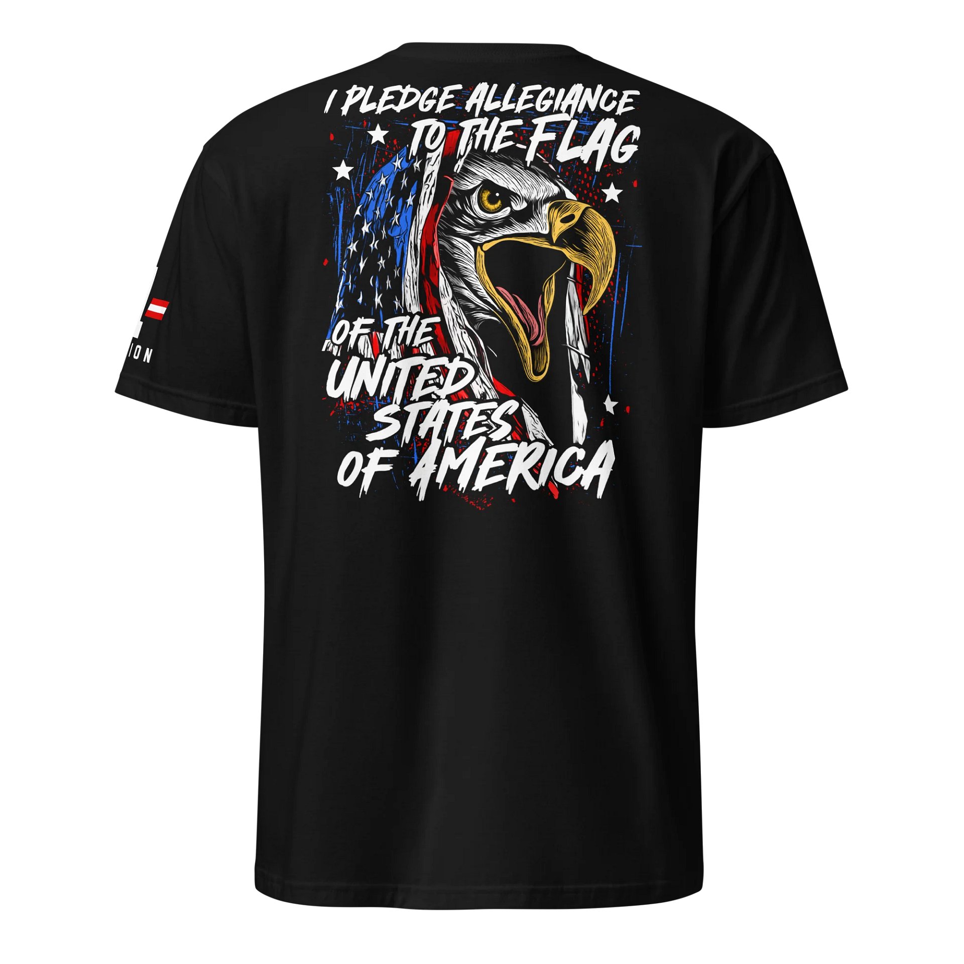 Eagle Pledge of Allegiance product image (1)