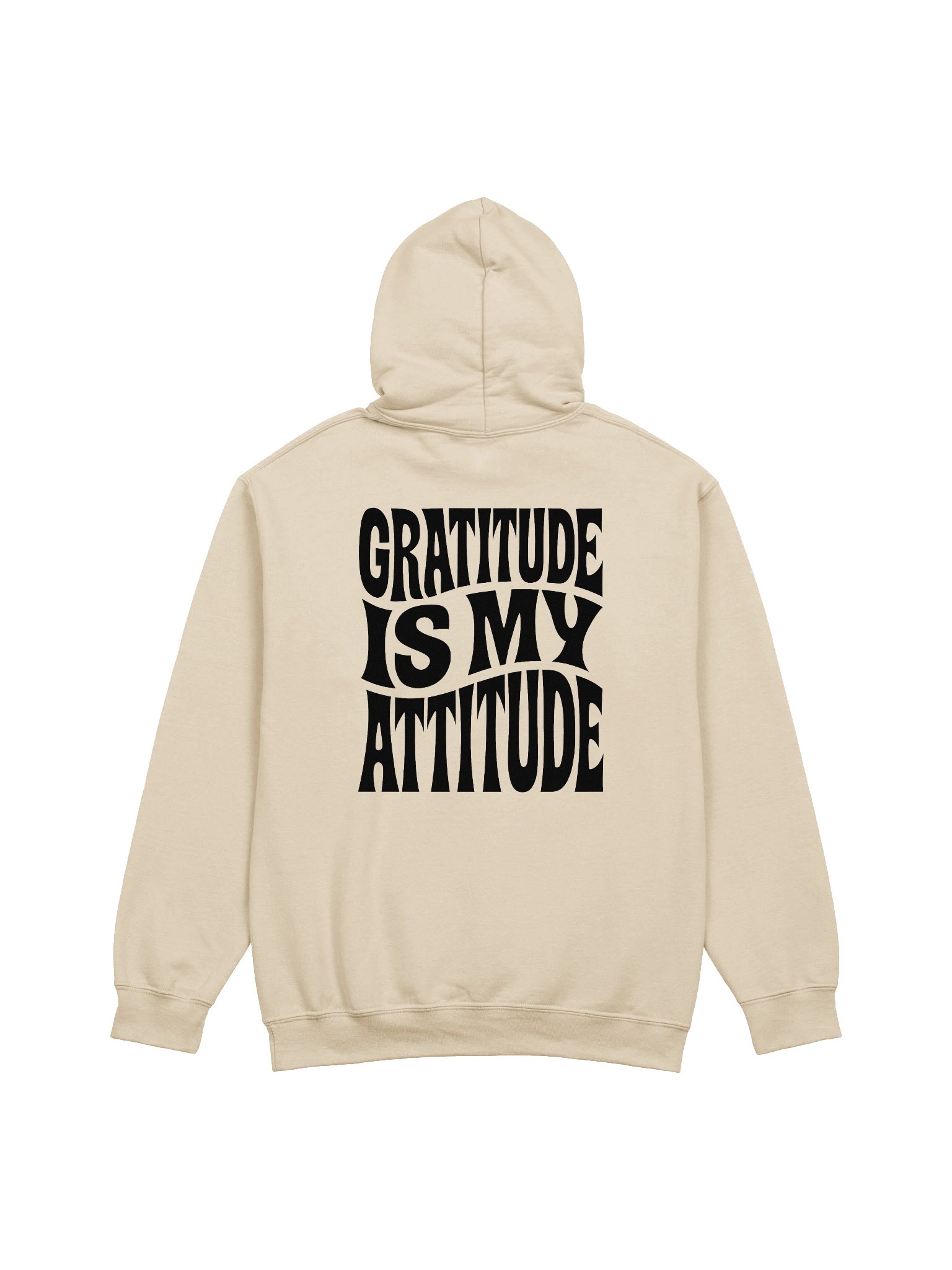 Gratitude Is My Attitude Hoodie product image (1)