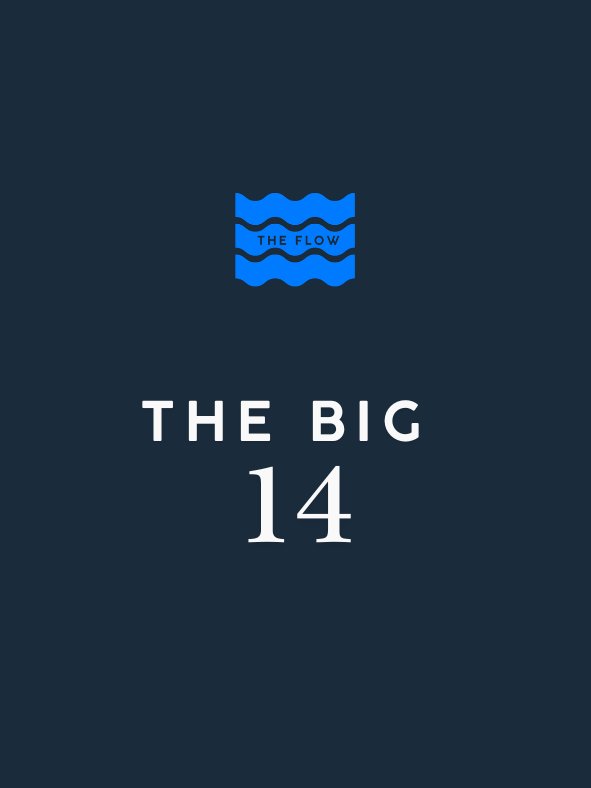 The Big 14 product image (1)