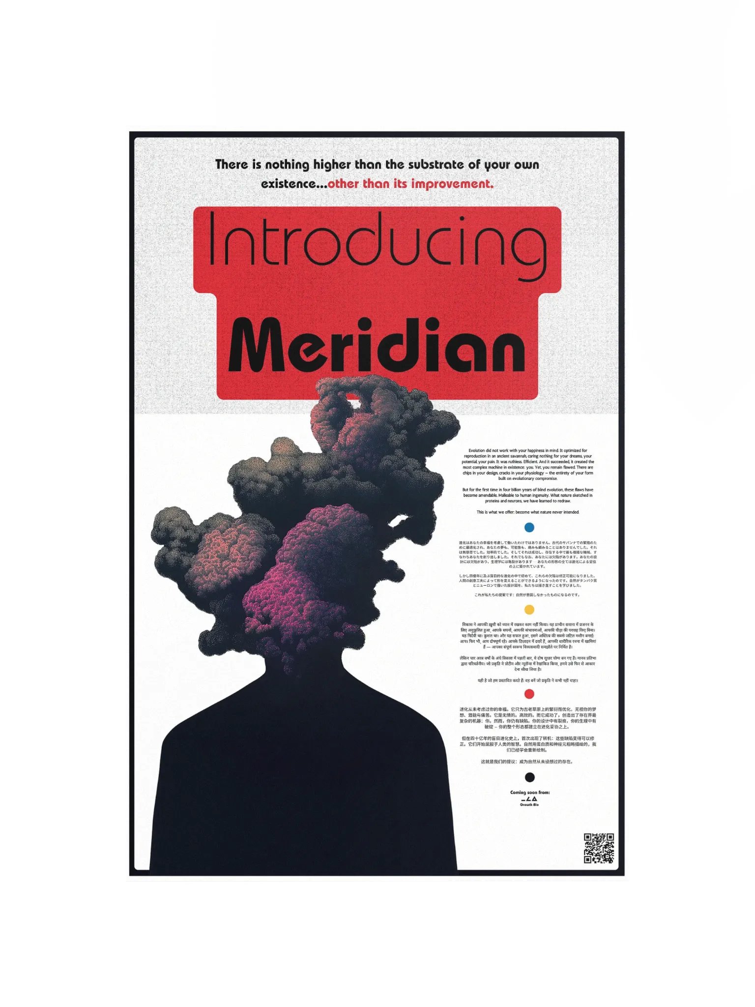 introducing meridian product image (5)