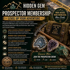 THE HIDDEN GEM - PROSPECTOR tier thumbnail