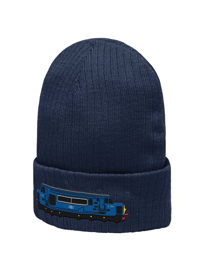 D199 Embroidered Beanie product image (2)