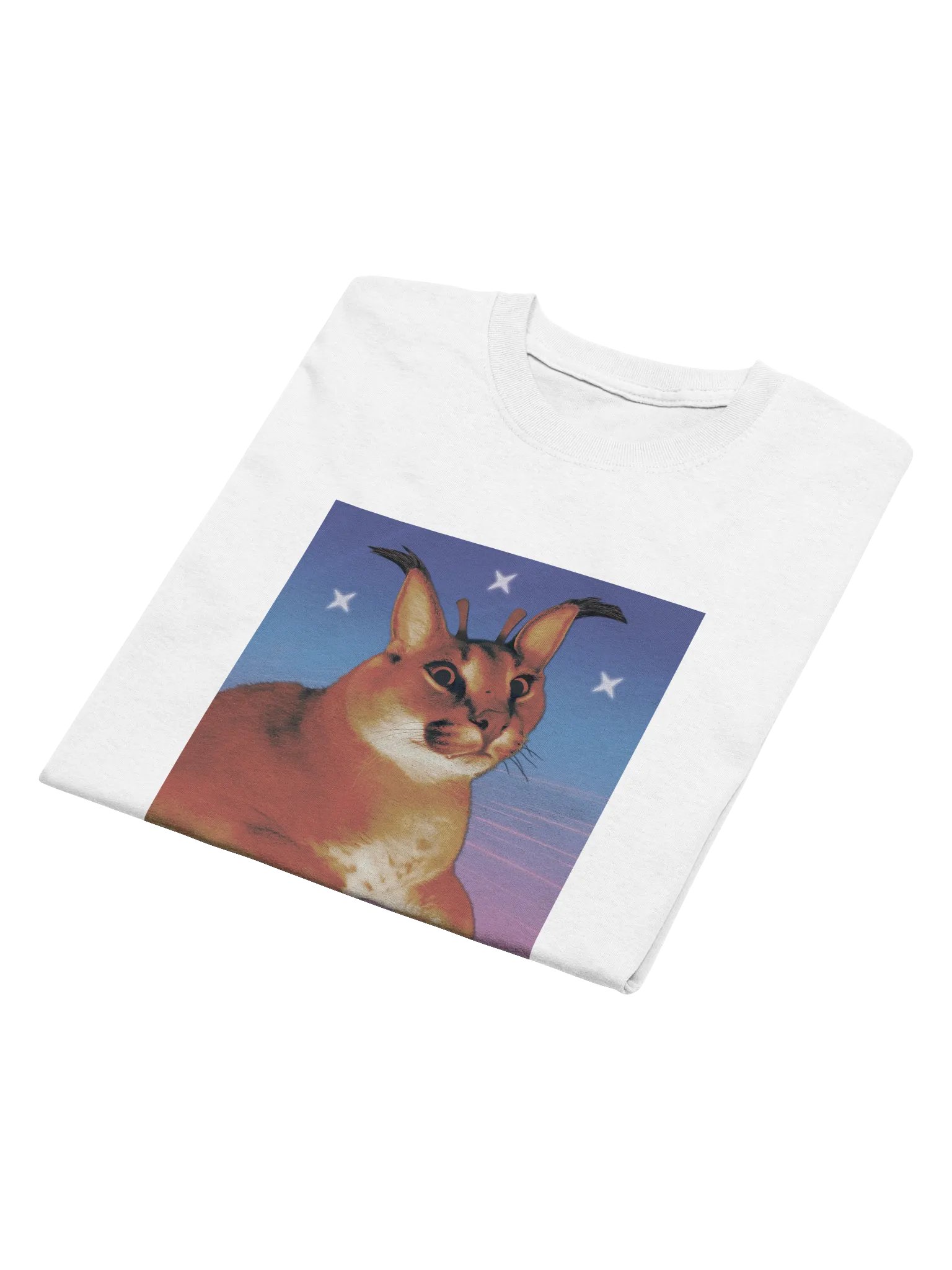 ALIEN FLOPPA MINIMALISTIC TEE (⏃⌰⟟⟒⋏ ⋔⟟⋏⟟⋔⏃⌰⟟⌇⏁⟟☊ ⎎⌰⍜⌿⌿⏃) product image (3)