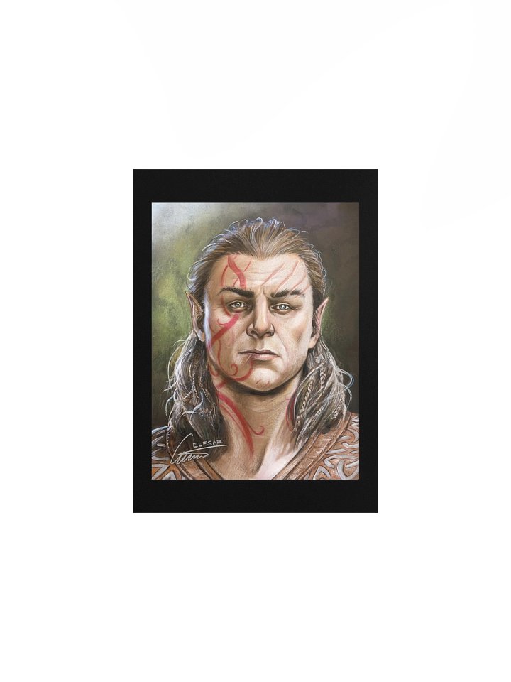 Baldur's Gate 3 Halsin Matte Print product image (1)