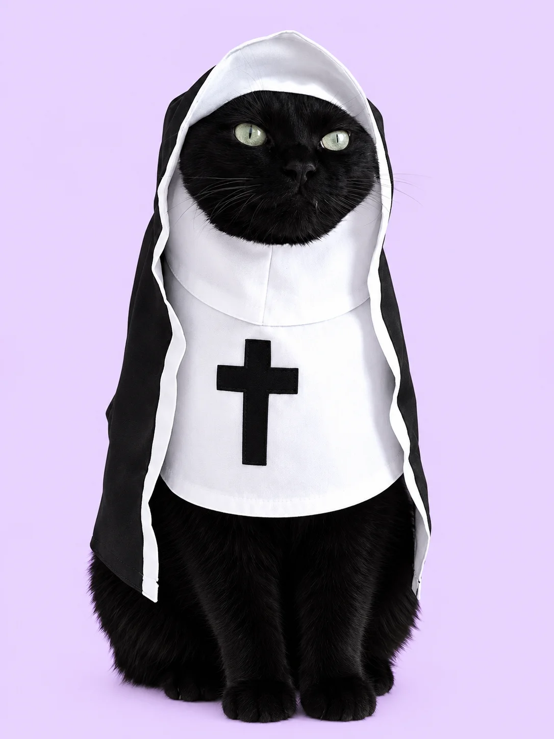 Nun Outfit for Pets product image (1)