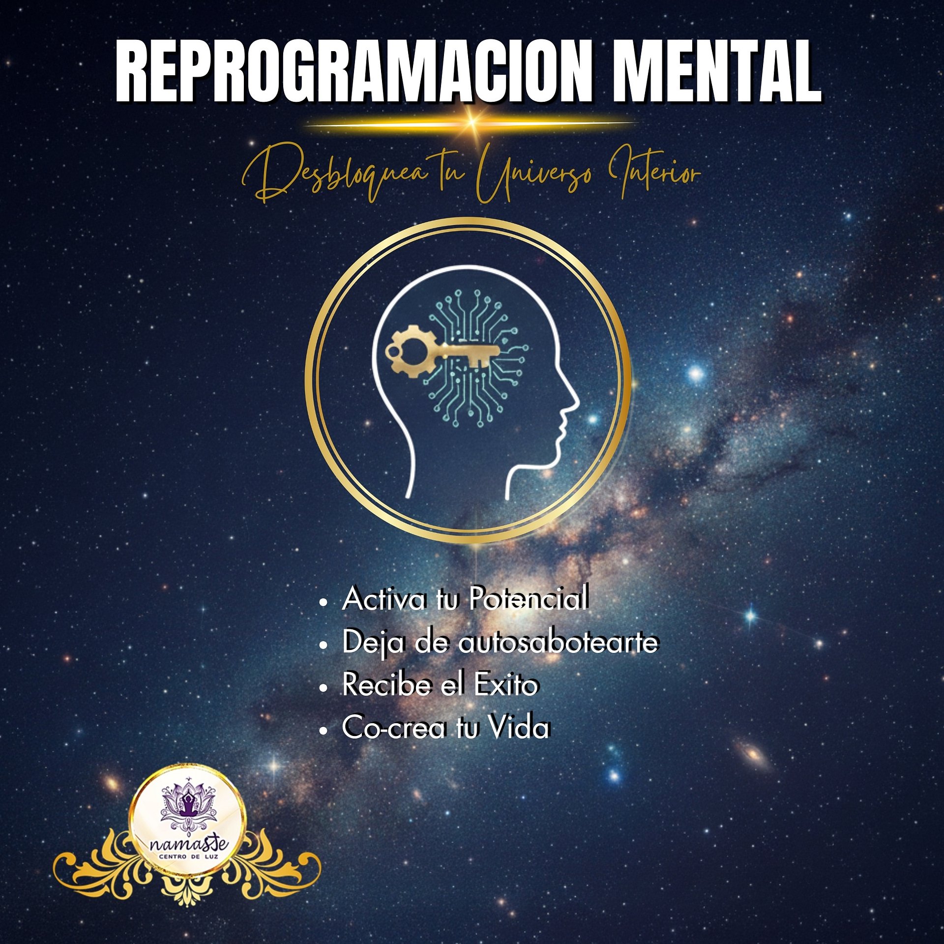 REPROGRAMACION MENTAL product image (1)