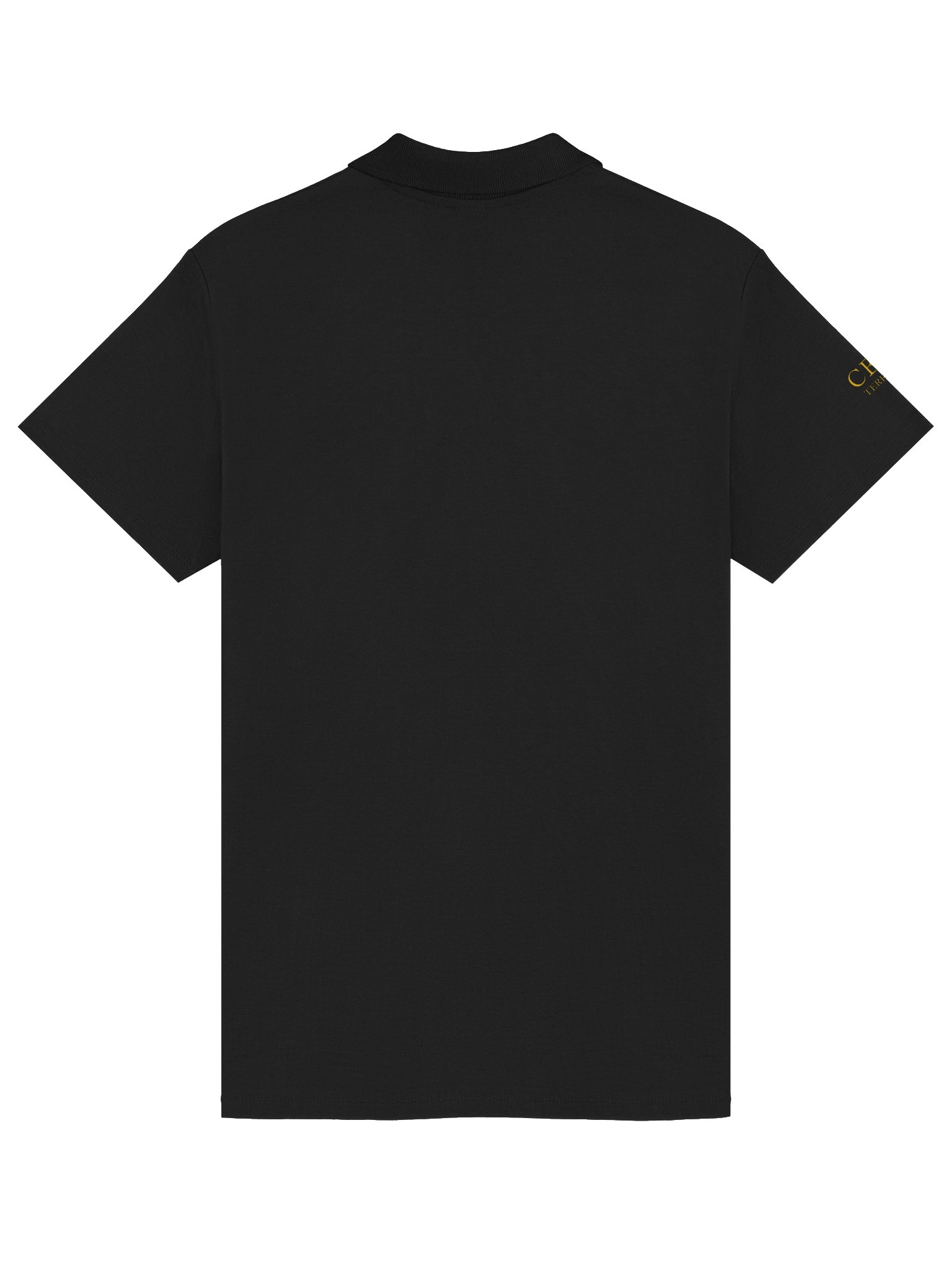 ASB - A Service Beyond Unisex Polo (Terrell) product image (5)