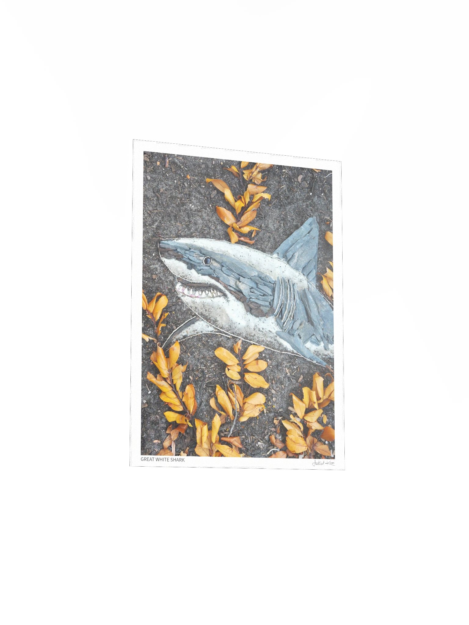 GREAT WHITE SHARK | Fine Art Print product image (4)