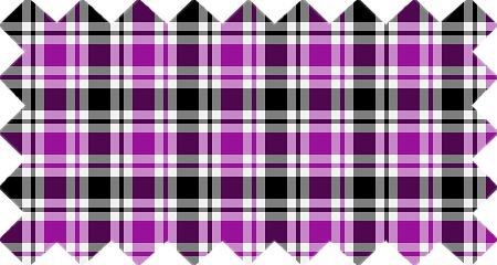 Purple, Black, and White Plaid (CO32)