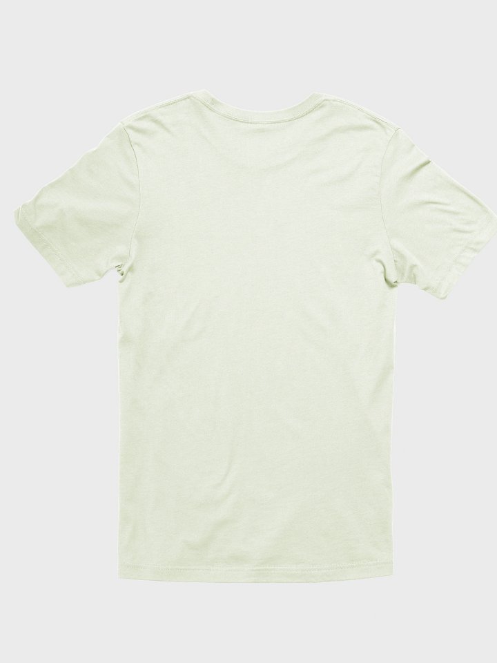a world without aromantics t-shirt product image (2)