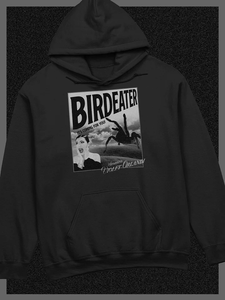 Birdeater Vintage Poster Hoodie (B&W) product image (2)