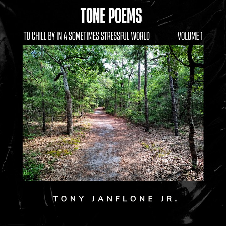 Tony Janflone Jr. - Tone Poems To Chill By In A Sometimes Stressful World Volume 1 DIGITAL DOWNLOAD product image (1)