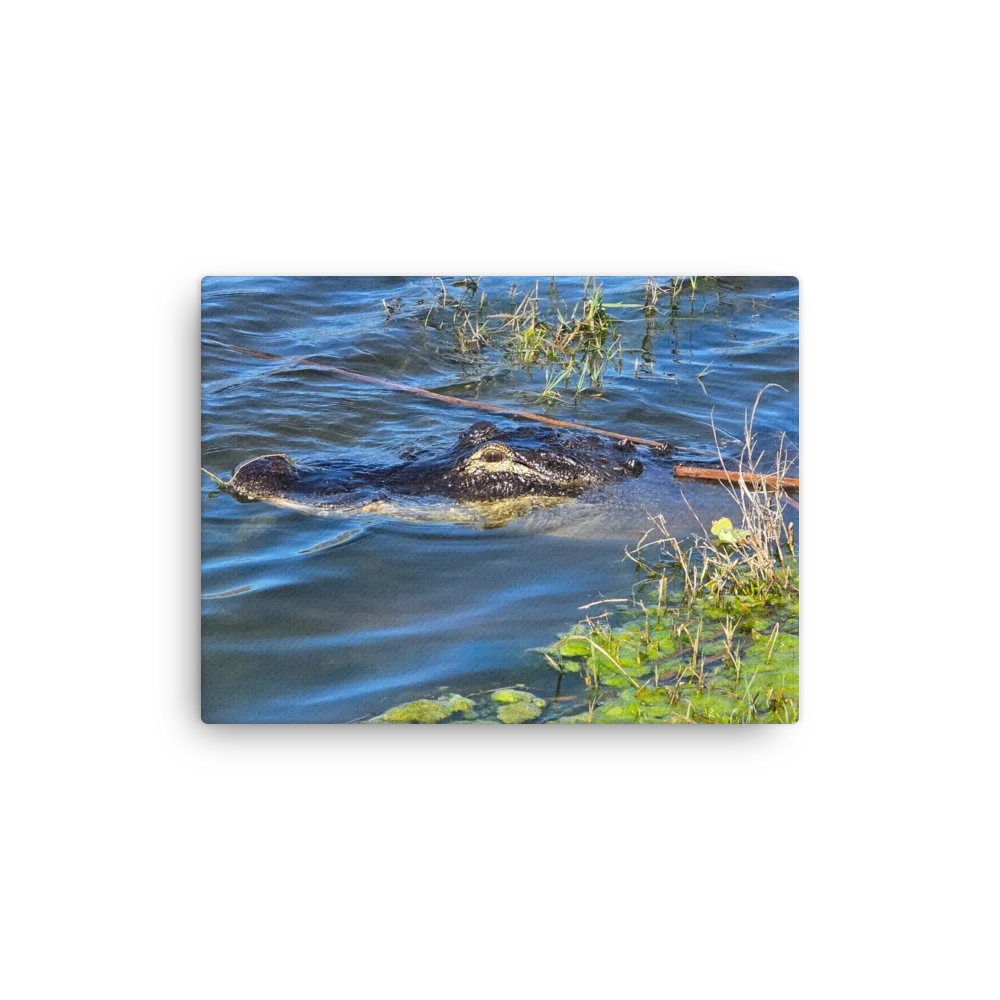 Alligator Marsh Canvas product image (10)
