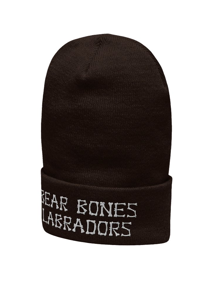 Beanie product image (2)
