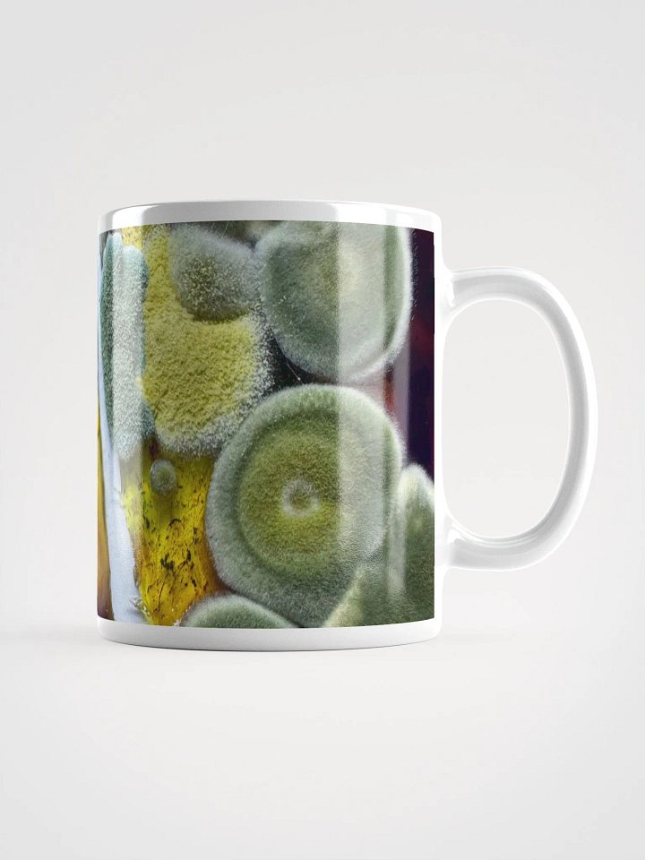 A bit late product image (3)