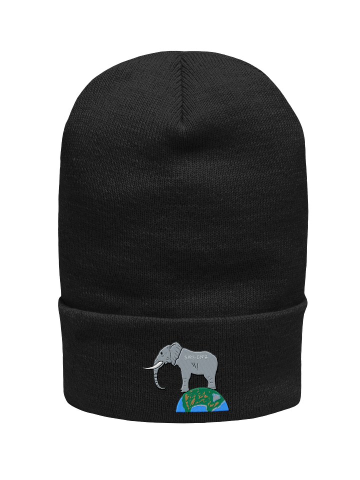 Elephant In The Room beanie (covid) product image (1)