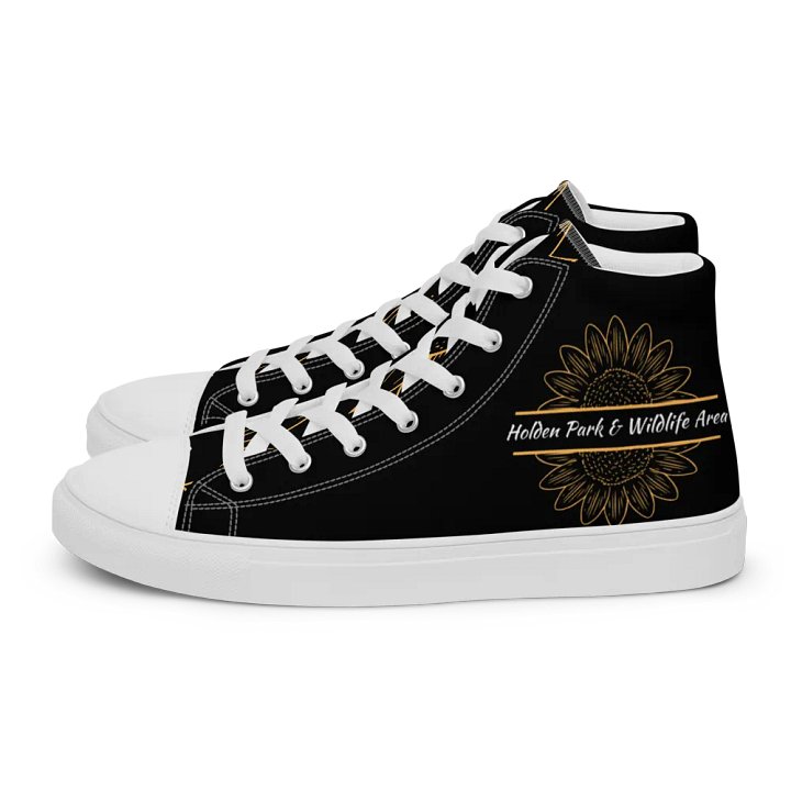 HP&W mens shoe product image (1)
