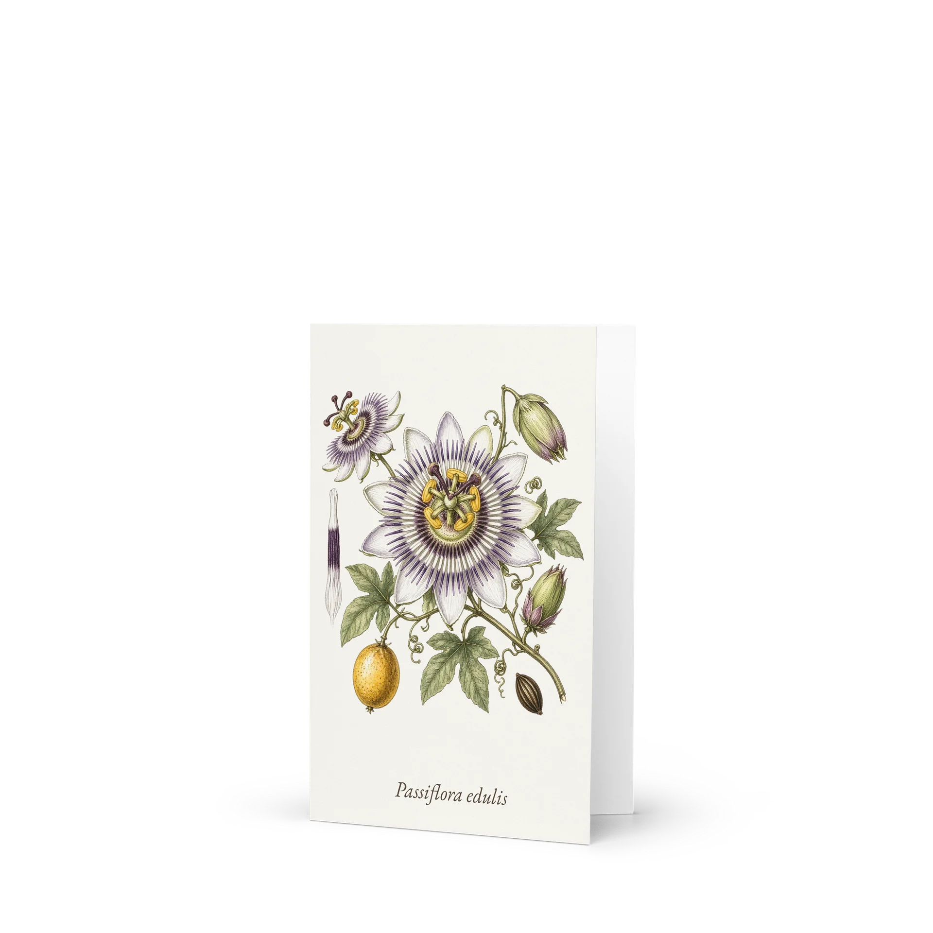 Vintage Botanical Passion Flower Greeting Card product image (1)