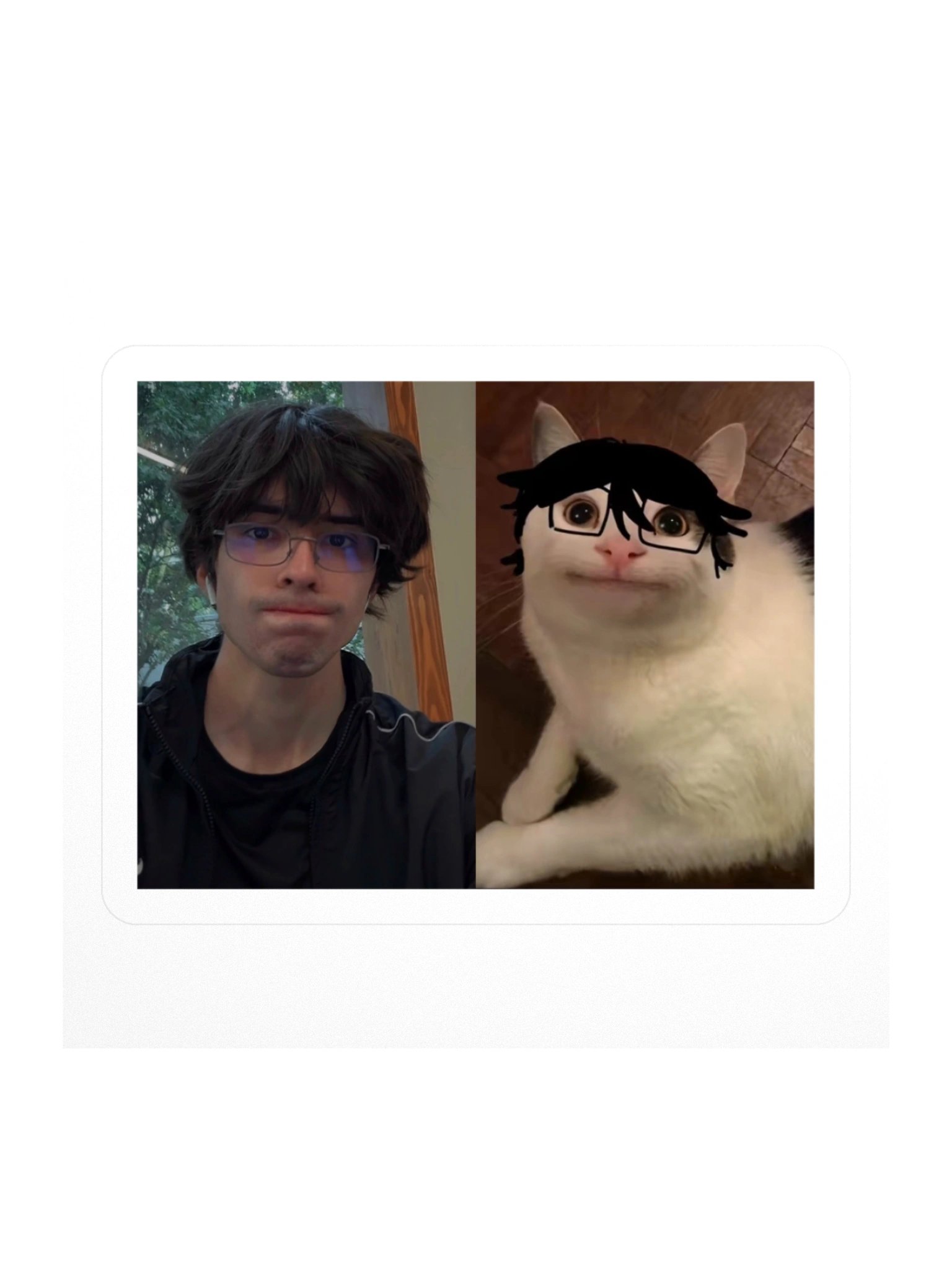 SHOOSHI-CAT STICKER product image (1)
