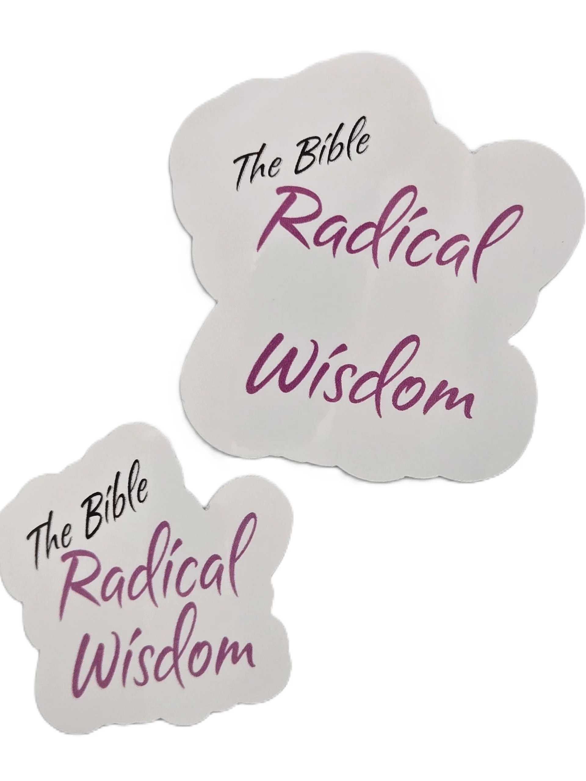 The Bible, Radical Wisdom Sticker product image (1)