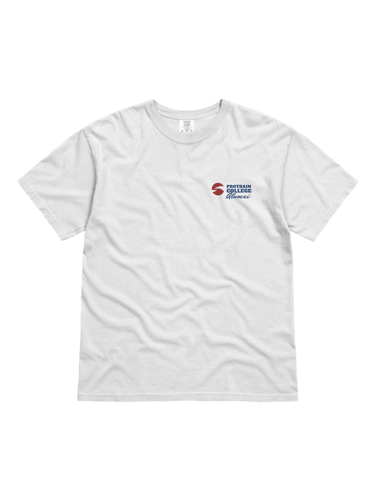 Protrain College Alumni Tee product image (1)