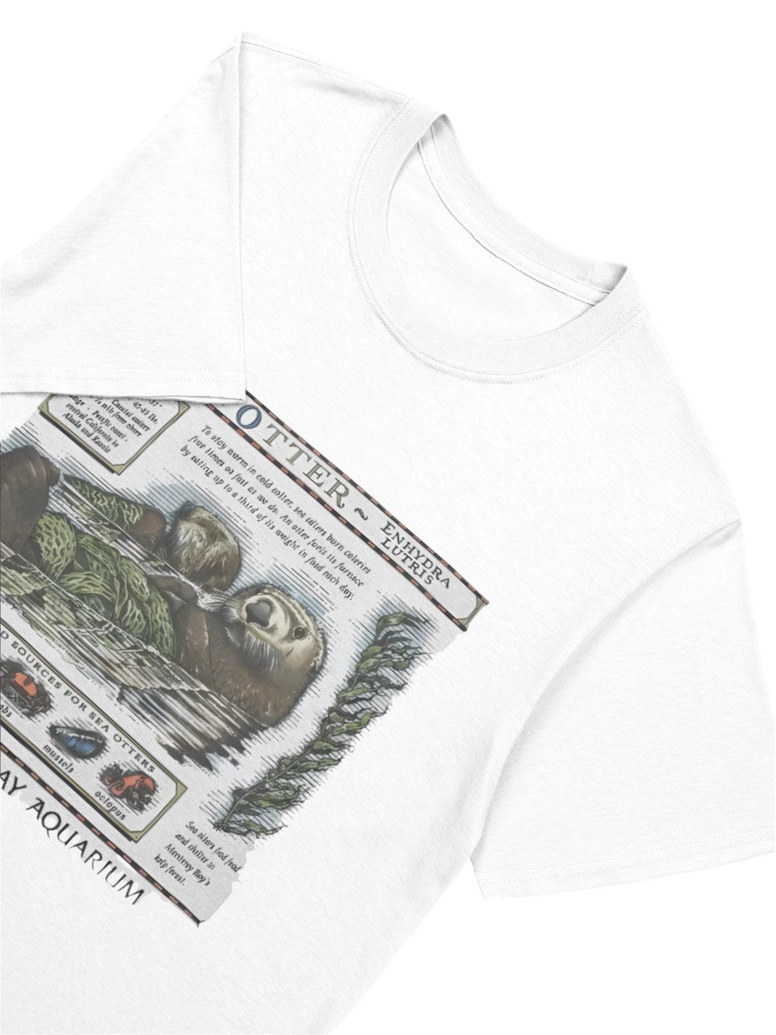 Sea Otter Monterey Bay Aquarium T-shirt product image (5)
