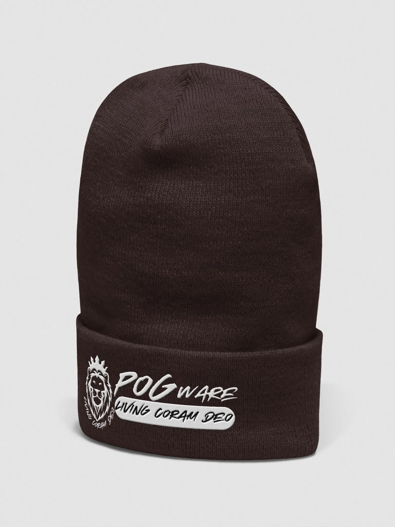 Beanie (POGware Logo) product image (2)