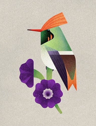 Polish illustrator Aga Wieckowska @szaro_biuro draws inspiration from nature to create her stunning artworks, and she seems t...