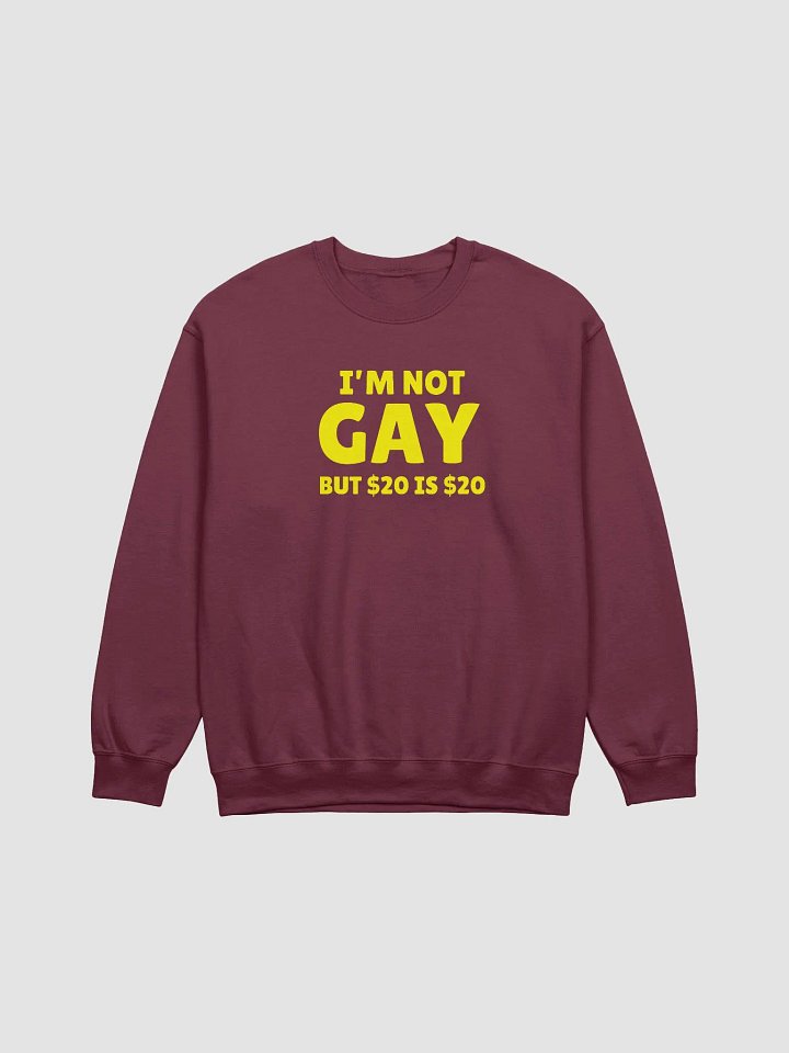 Not Gay But $20 is $20 Front Print Unisex Sweatshirt product image (1)