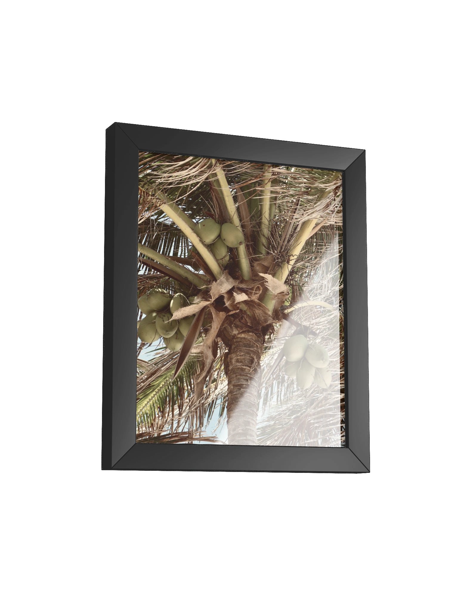 Tulum Coconuts product image (11)