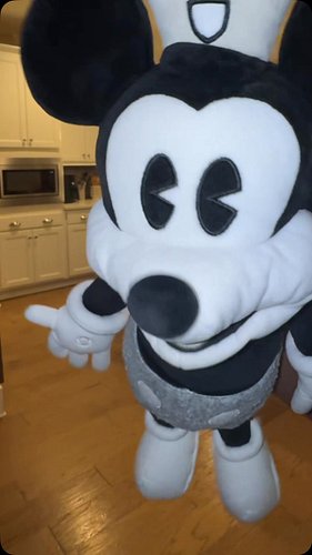 Steamboat Willie PSA #comedy #funny #hassankhadair #reels #flock