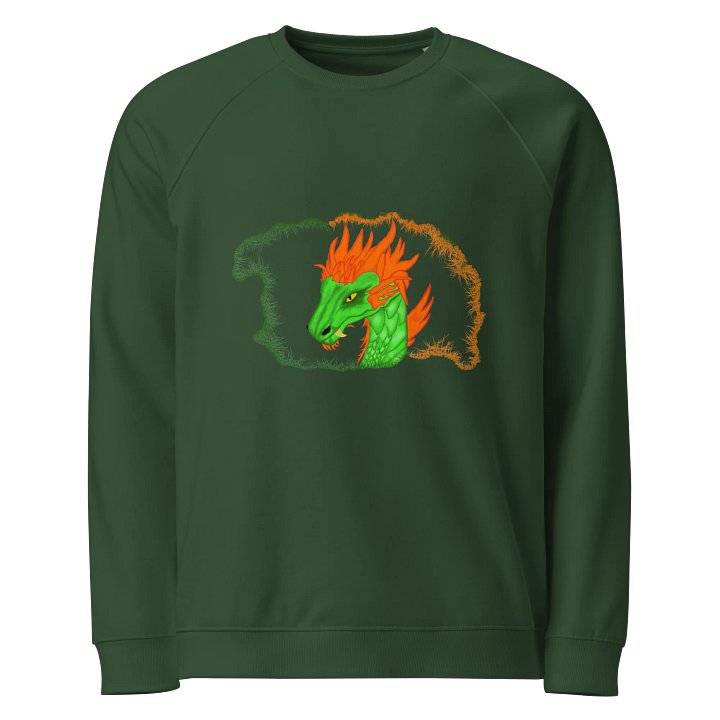 Dragonfire Unisex Raglan Sweatshirt product image (1)