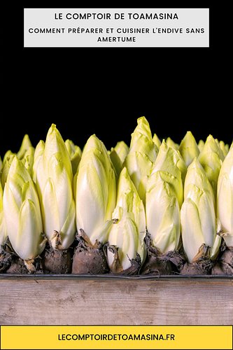 Comment préparer et cuisiner l’endive sans amertume

Comment préparer et cuisiner l’endive (le chicon) sans amertume : de la ...