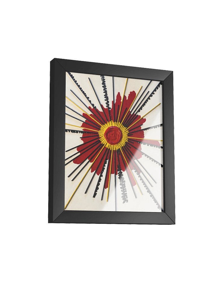 Navigating The Red North Star product image (17)