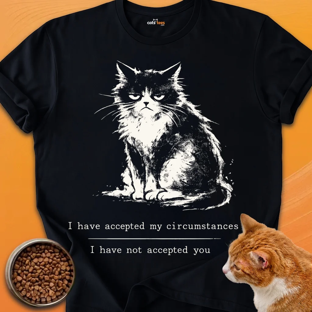 I Have Accepted product image (1)