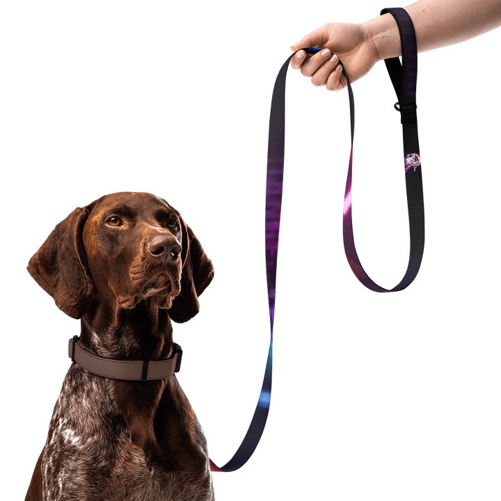 Doggo Control Addon product image (2)