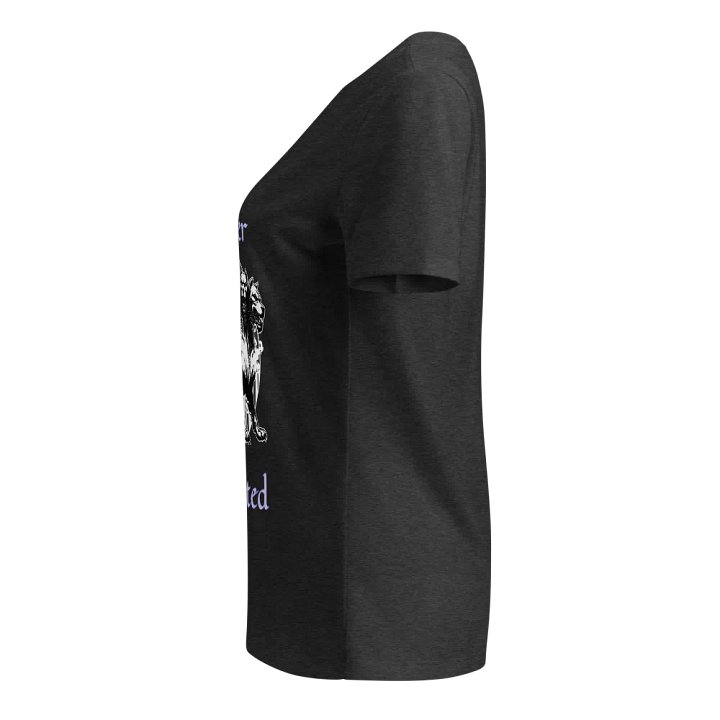 Forever Protected V-Neck Tee product image (28)