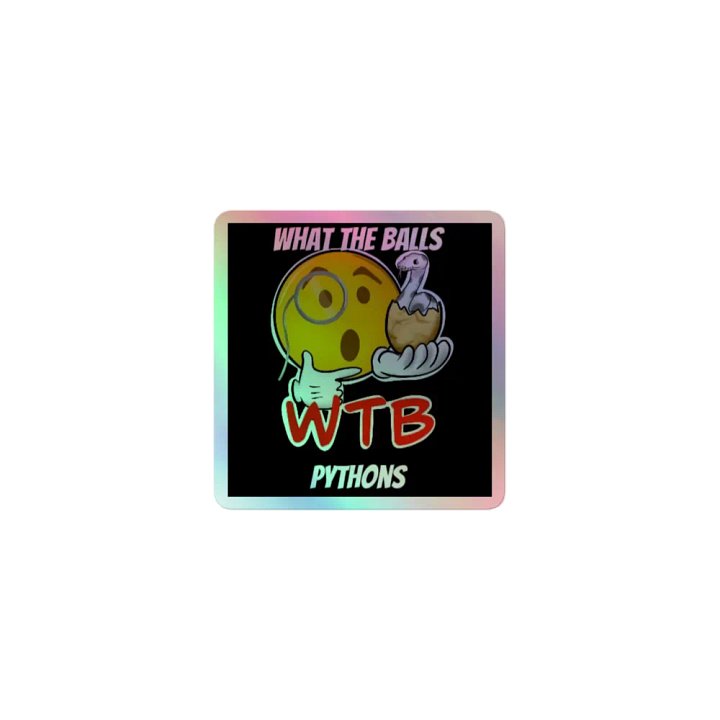 WTB Adult Logo 1 Holographic Sticker Sheet product image (1)