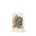 Vintage Vegetable Garden Etching Greeting Card