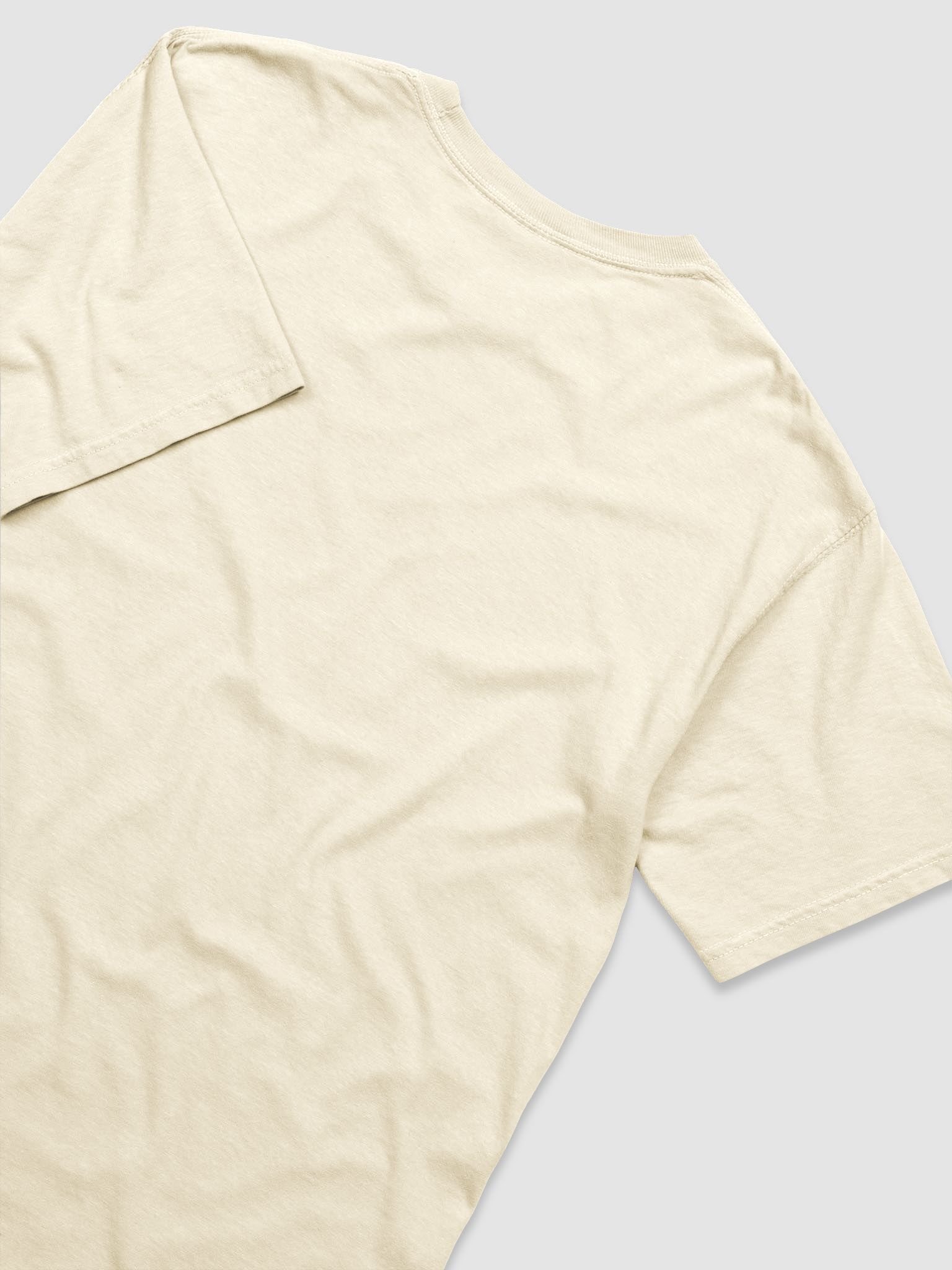 Nervous Systems Raccoons Graphic Tee product image (5)