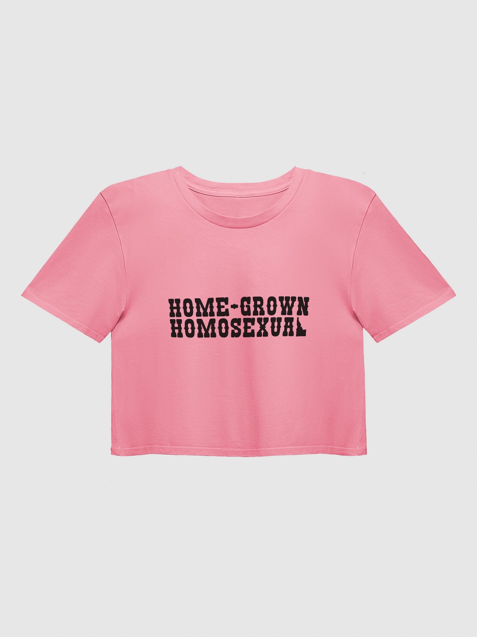 "HOME-GROWN HOMOSEXUAL" light crop top product image (1)